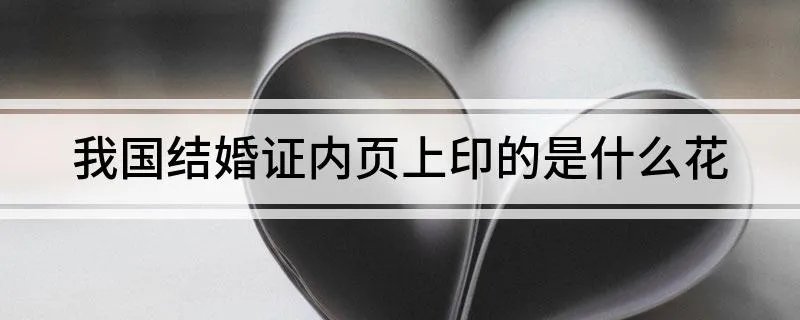 我国结婚证内页上印的是什么花