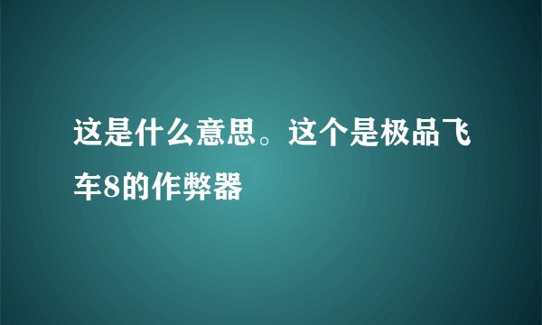 这是什么意思。这个是极品飞车8的作弊器
