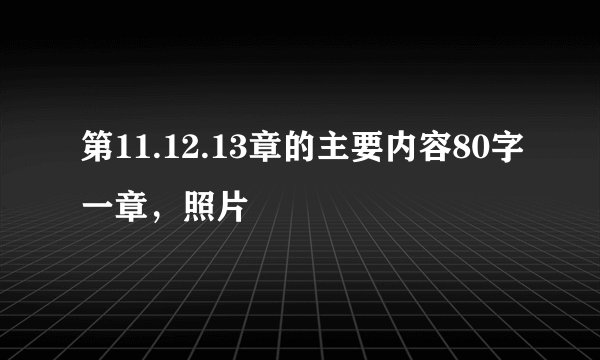 第11.12.13章的主要内容80字一章,照片