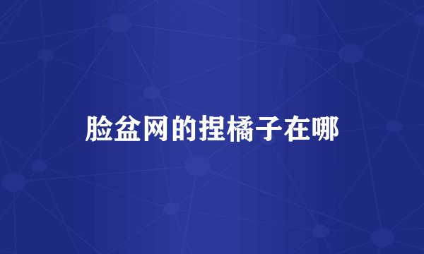 脸盆网的捏橘子在哪