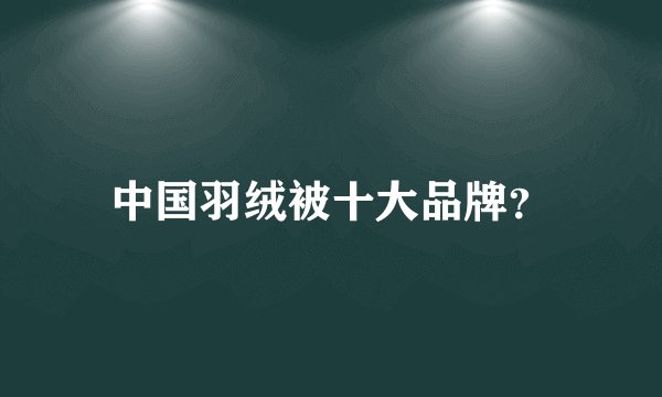 中国羽绒被十大品牌？