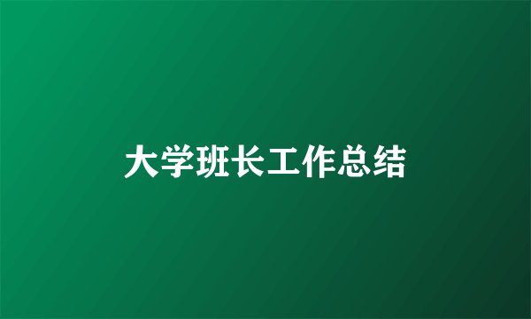 大学班长工作总结