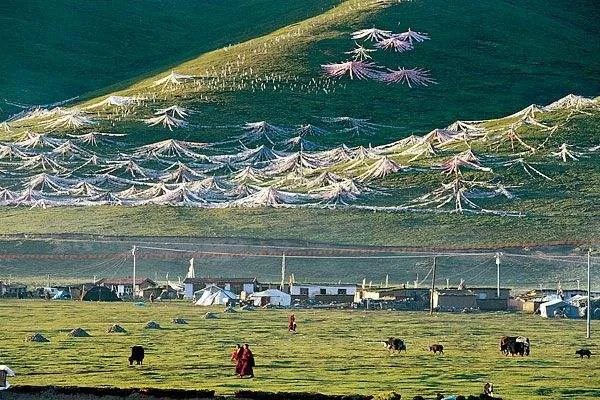 95后成旅游消费主力军是怎么回事？