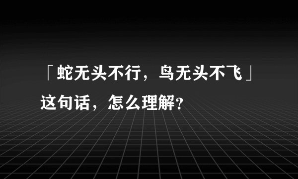 「蛇无头不行,鸟无头不飞」这句话,怎么理解?