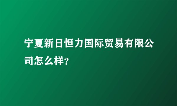 宁夏新日恒力国际贸易有限公司怎么样？