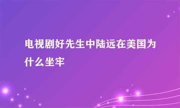 电视剧好先生中陆远在美国为什么坐牢
