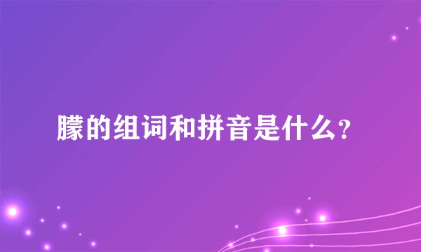 朦的组词和拼音是什么？