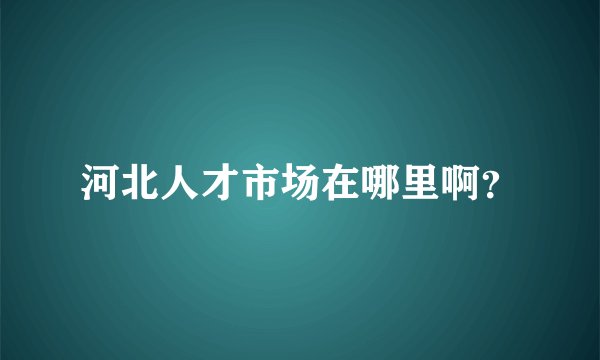 河北人才市场在哪里啊？