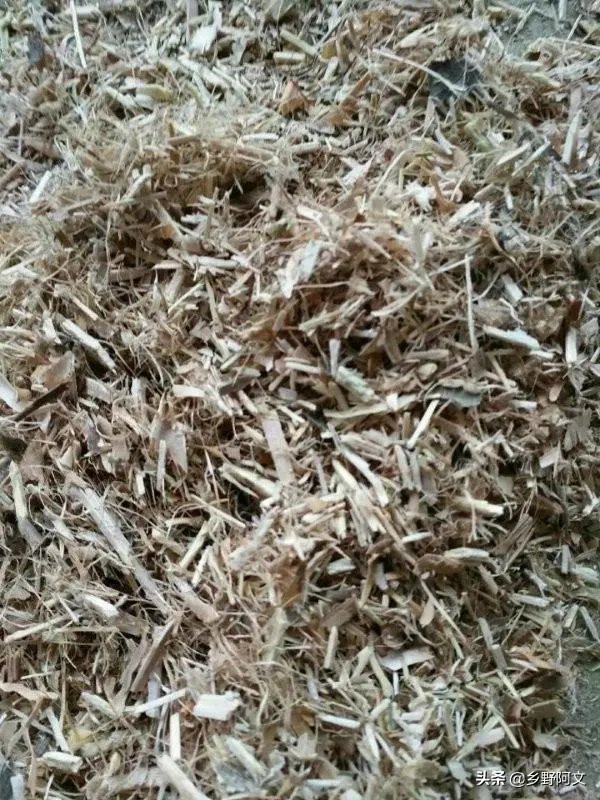 花生秧粉怎么喂鸭好?
