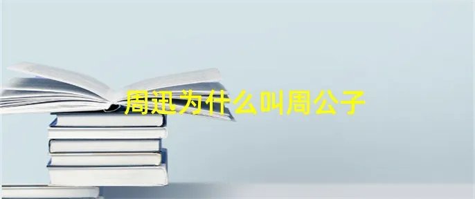 周迅为什么叫周公子