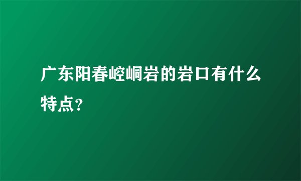 广东阳春崆峒岩的岩口有什么特点？