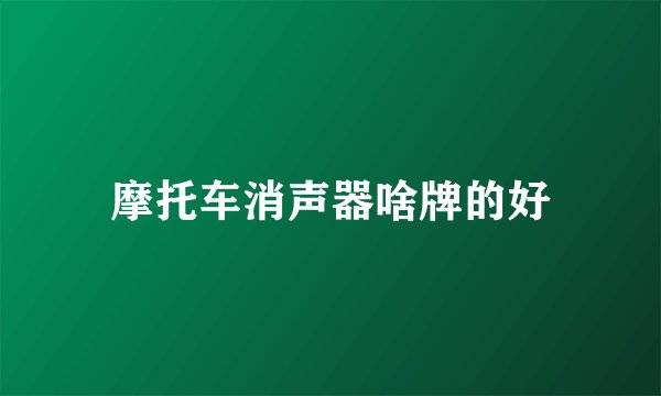 摩托车消声器啥牌的好