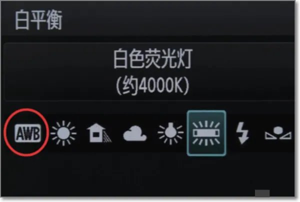 如何调白平衡让单反拍出来的照片偏蓝