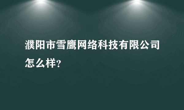 濮阳市雪鹰网络科技有限公司怎么样？
