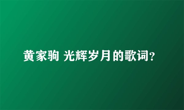 黄家驹 光辉岁月的歌词？