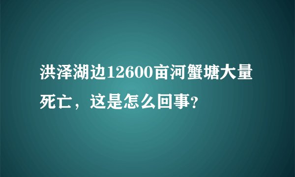 洪泽湖边12600亩河蟹塘大量死亡，这是怎么回事？
