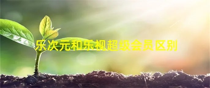 乐次元和乐视超级会员区别