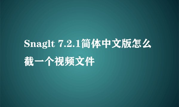 Snaglt 7.2.1简体中文版怎么截一个视频文件
