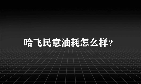 哈飞民意油耗怎么样?
