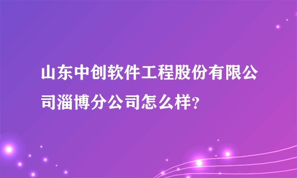 山东中创软件工程股份有限公司淄博分公司怎么样？