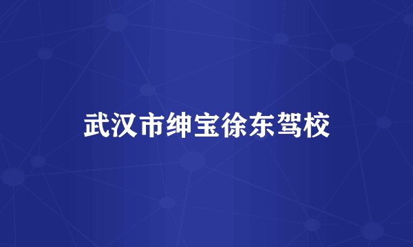 武汉市绅宝徐东驾校