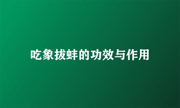 吃象拔蚌的功效与作用