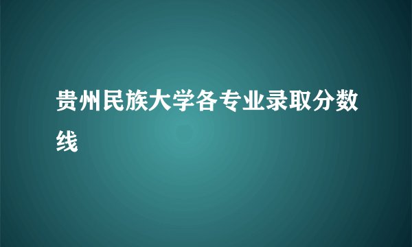 贵州民族大学各专业录取分数线