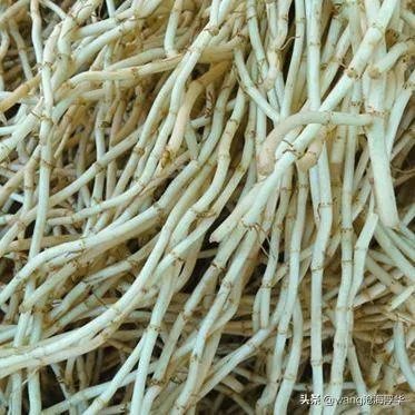 一个人摆摊做甜品什么甜品好做?