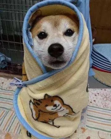 如何用一句话证明你聪明?