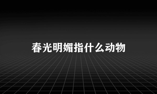 春光明媚指什么动物