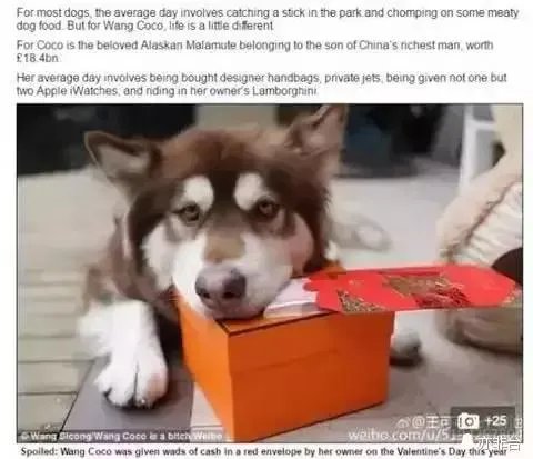 王思聪频繁约会网红，他的初恋是谁？