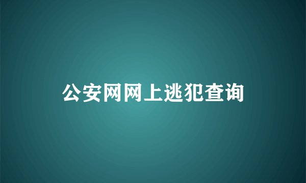 公安网网上逃犯查询