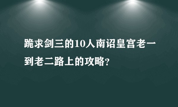 跪求剑三的10人南诏皇宫老一到老二路上的攻略？