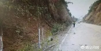 如何看待江西九江女司机开车睡着连撞18棵树?