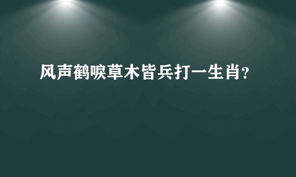 风声鹤唳草木皆兵打一生肖？