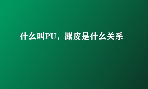 什么叫PU,跟皮是什么关系