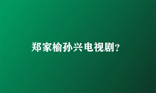 郑家榆孙兴电视剧？