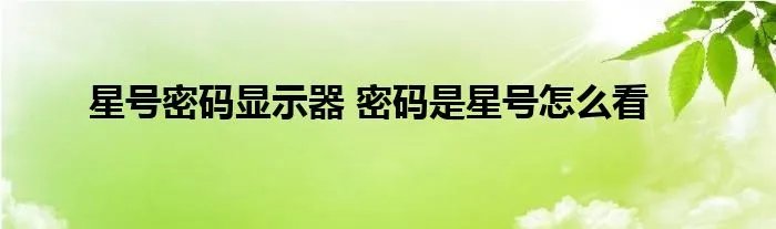 星号密码显示器 密码是星号怎么看