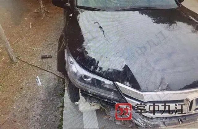 如何看待江西九江女司机开车睡着连撞18棵树?