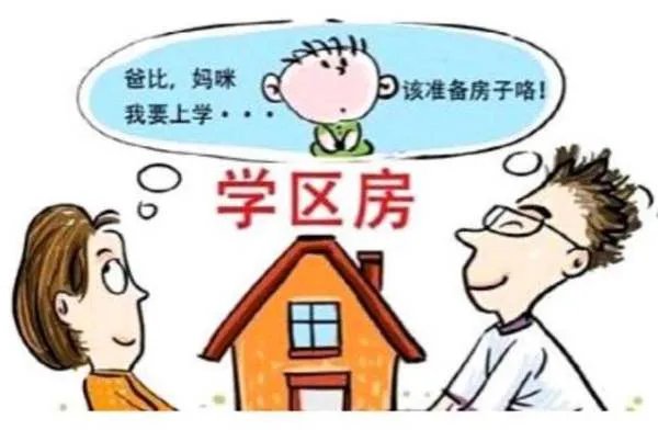 1200万买39平地下室,学区房为何如此“炽热”?