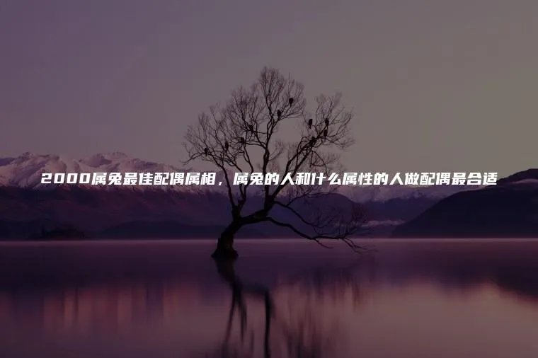2000属兔最佳配偶属相，属兔的人和什么属性的人做配偶最合适