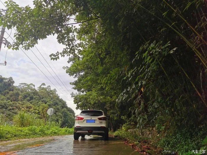 少无适俗韵,性本爱丘山,记逍客的雨林之行!