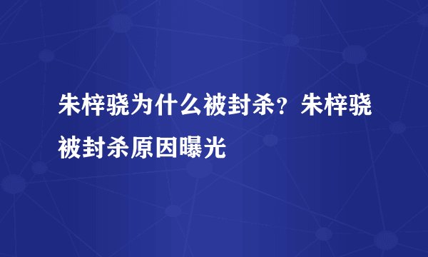 朱梓骁为什么被封杀?朱梓骁被封杀原因曝光
