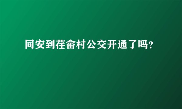 同安到荏畲村公交开通了吗？