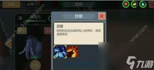 创造与魔法宠物大全宠物抓捕方法汇总介绍