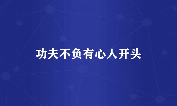 功夫不负有心人开头
