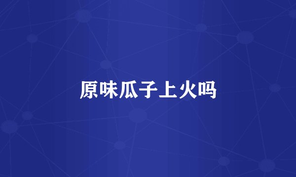 原味瓜子上火吗
