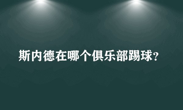斯内德在哪个俱乐部踢球?