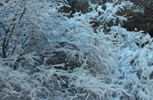 西安会下雪吗?会的话大概几月下，一年下几次?会很冷吗?