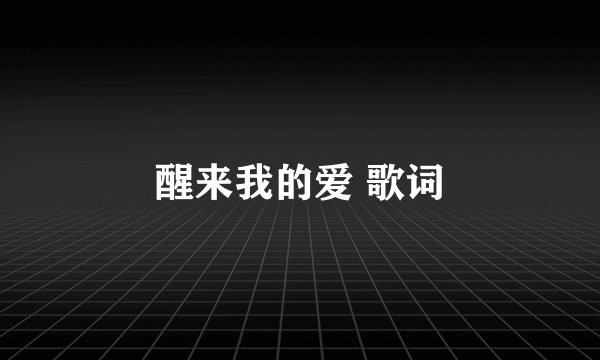 醒来我的爱 歌词